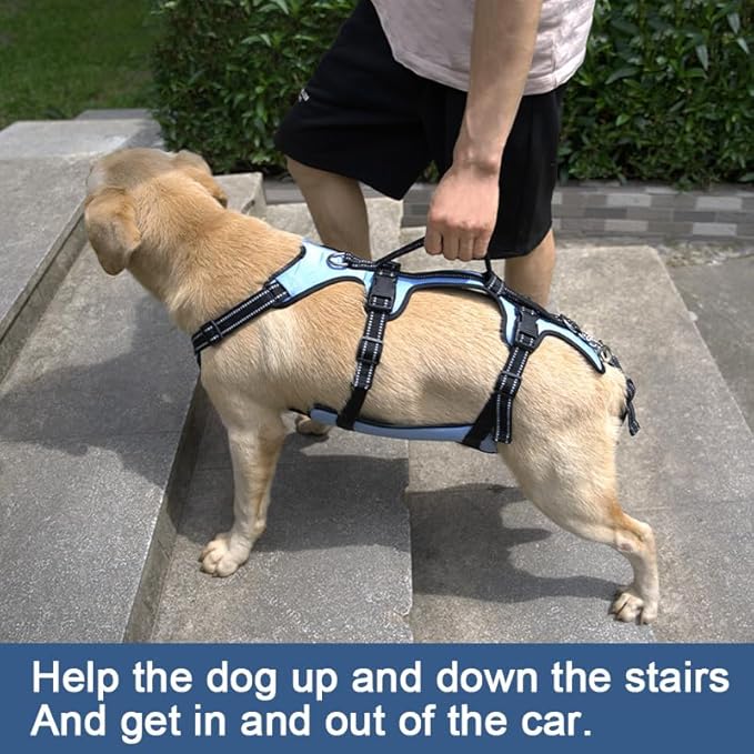 Arnés de elevación para perros Coodeo, soporte completo del cuerpo y correa de recuperación, chaleco de elevación para rehabilitación de mascotas para perros mayores con artritis para caminar (Azul)