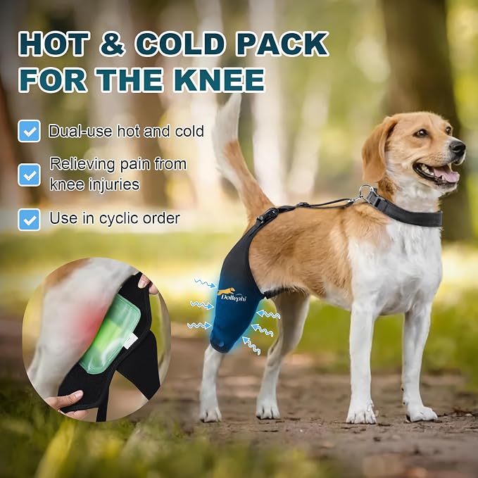 Rodillera para Perro Talla L | Soporte Ligamento Cruzado Anterior con Compresa Fría/Caliente (Pierna Derecha)