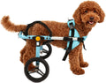 Silla de Ruedas para Perros Pequeños TailWaggers | Para Patas Traseras | Ayuda de Movilidad Ajustable | Ruedas Todo Terreno | Para Mascotas Tamaño Teddy