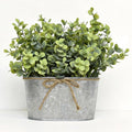 Plantas Artificiales de Eucalipto para Decoración – Set de 3 Plantas Falsas Estilo Rústico