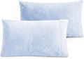 Fundas de almohada de terciopelo ROSE&RISY tamaño Queen, paquete de 2 unidades, ultrasuaves y transpirables con cierre de solapa para cama, fundas de almohada de terciopelo acogedoras y mullidas, sin relleno (Queen 20x30 pulgadas, azul claro)