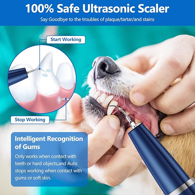 Limpiador Ultrasónico de Dientes para Mascotas Ni-SHEN – Elimina Sarro y Placa en Perros y Gatos