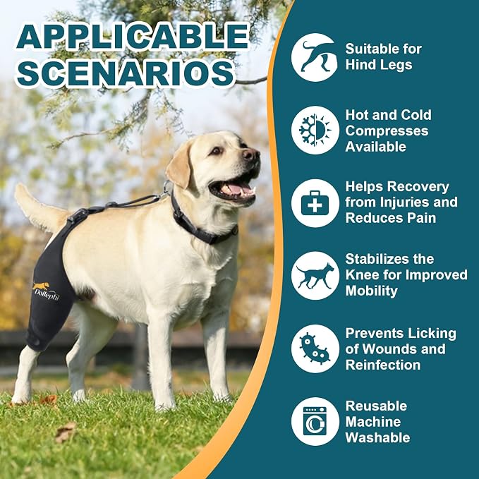 Rodillera para Perro Talla L | Soporte Ligamento Cruzado Anterior con Compresa Fría/Caliente (Pierna Derecha)