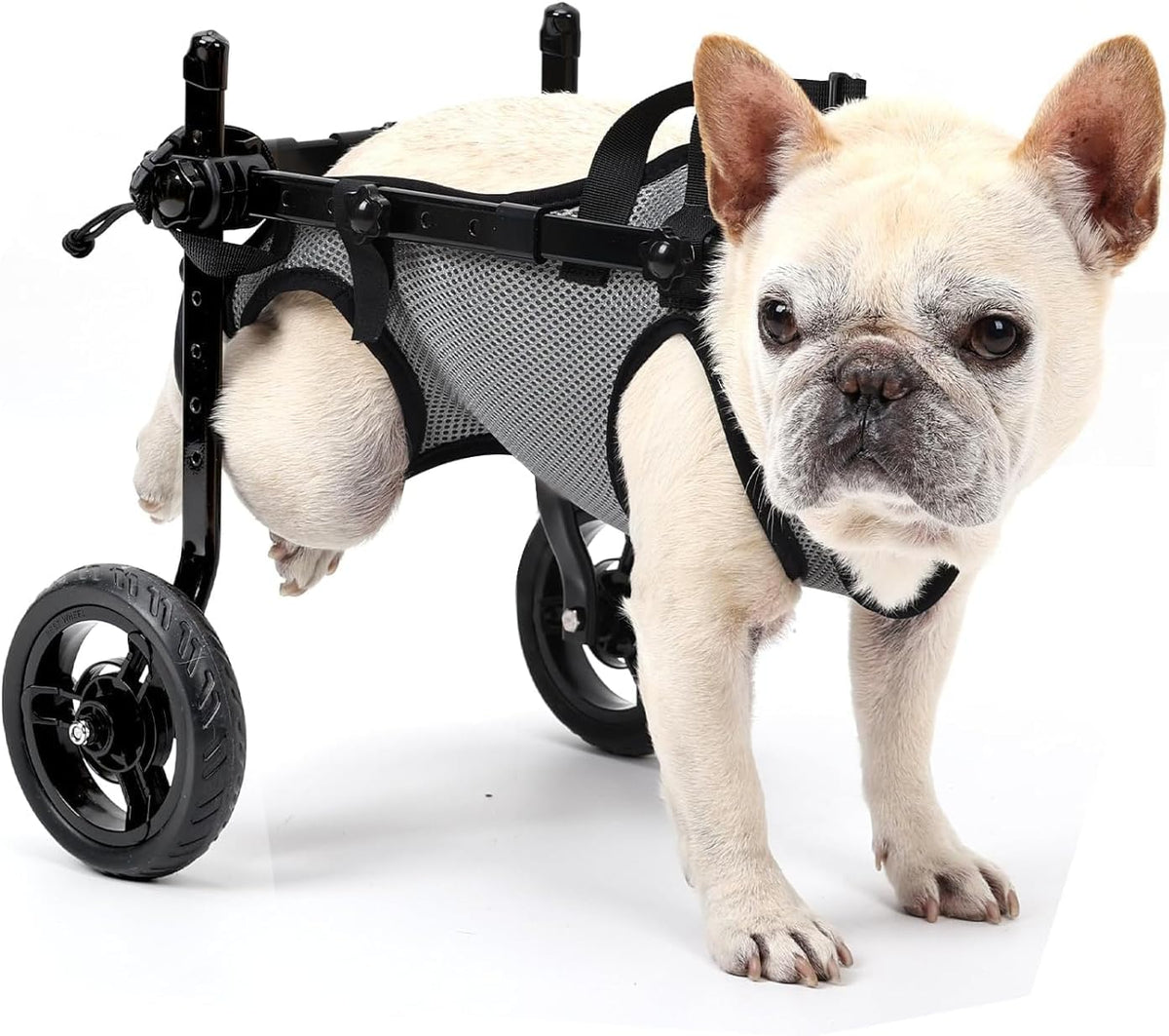 Silla Ruedas Perro BECROWM Patas Traseras Ligera Perro Gato Mascotas Carro Silla Ruedas Patas Traseras Deshabilitadas Caminata Ajustable Ruedas Gris Mediano