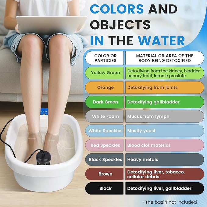 Máquina de desintoxicación de baño de pies iónico, portátil de desintoxicación iónica para baño de pies, controlador de limpieza iónica para vacaciones en el hogar