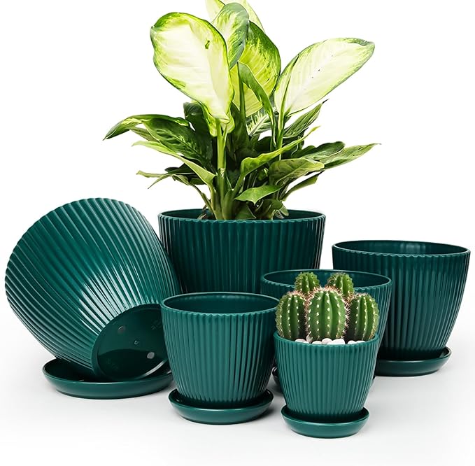 Macetas de interior con platillos y drenaje - Paquete de 6 macetas de flores - Maceteros de plástico para plantas de interior - Tamaños de 7.5/6.6/5.8/5.0/4.3/3.5 pulgadas para todos los