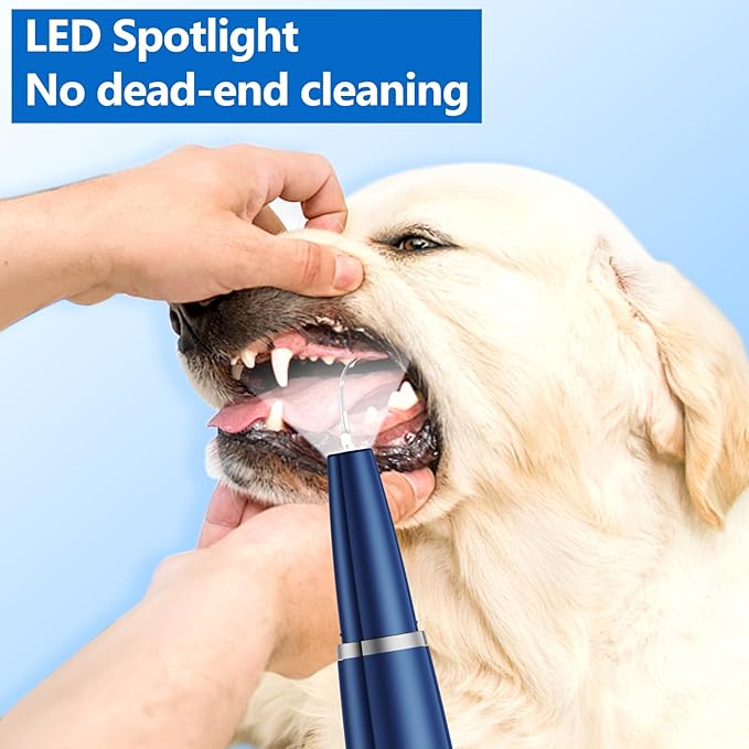 Limpiador Ultrasónico de Dientes para Mascotas Ni-SHEN – Elimina Sarro y Placa en Perros y Gatos