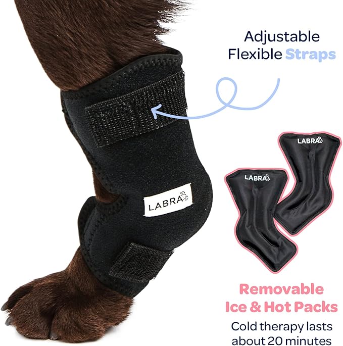 Labra – Compresa de Compresión Frío/Calor para Perros | Alivio Artritis y Dolor en Articulaciones | Aprobado por Veterinarios | NOTA IMPORTANTE: SOLO INCLUYE 1 PROTECTOR, ES PARA RAZAS PEQUEÑAS