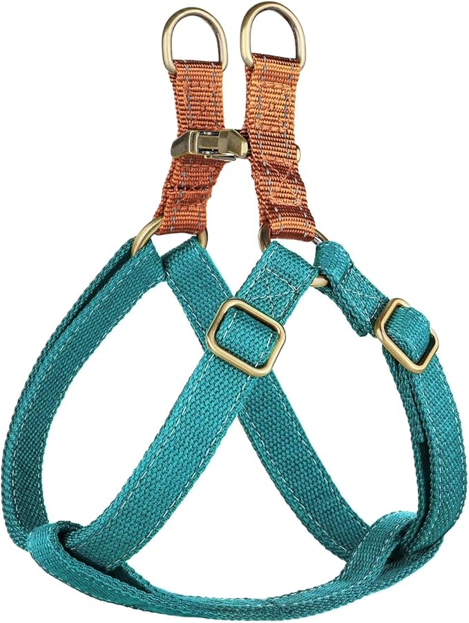 Didog - Arnés para perros con hebillas metálicas, chaleco de nylon para perros pequeños de fácil entrenamiento para caminar (S: pecho 33-56 cm, azul)