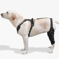 FurWell Dog Knee Brace with Adjustable Support – ACL & CCL Tear Recovery, Post-Surgery Stabilization, Mobility Aid for Rear Legs – Includes Secure Chest Harness for Dogs(Left,L)