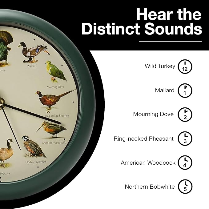 Reloj de Pared Mark Feldstein 8" – Aves Silvestres de Norteamérica con Sonidos, Verde