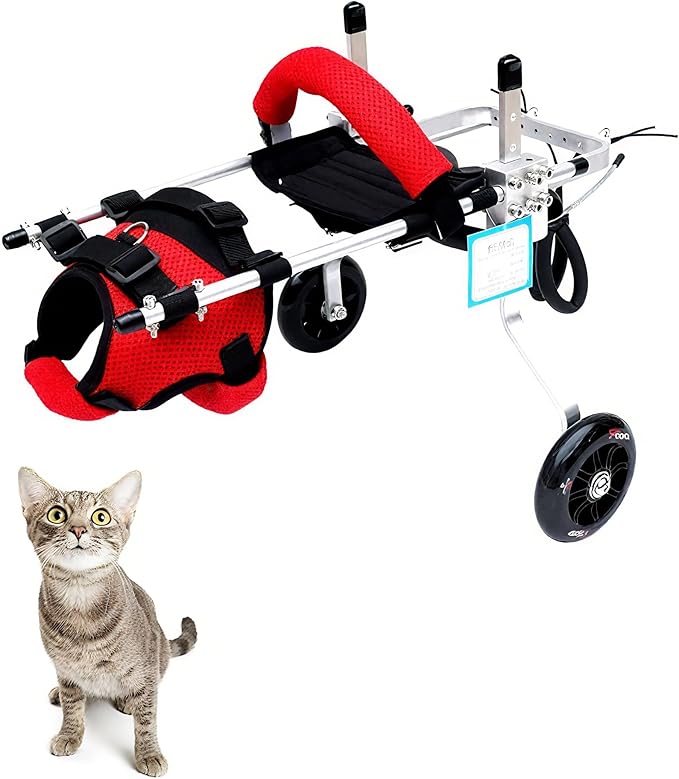 TOSPHU Silla de Ruedas para Gatos — 2 Ruedas Ajustable y Liviana, Rehabilitación para Patas Traseras | Talla M