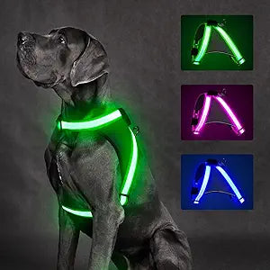 Arnés LED ChalkLit para Perro | Luz 360° Recargable USB | Tallas M y L