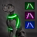 Arnés LED ChalkLit para Perro | Luz 360° Recargable USB | Tallas M y L