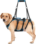 Arnés de elevación para perros machos grandes, 2 en 1, desmontable, con 4 asas, para transportar todo el cuerpo, con soporte para las patas traseras (negro, extragrande) 
