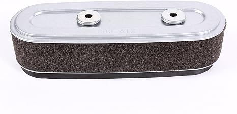 Honda - Filtro de Aire OEM 17210-Z1V-003 | Original Honda | Motores GXV160UH2