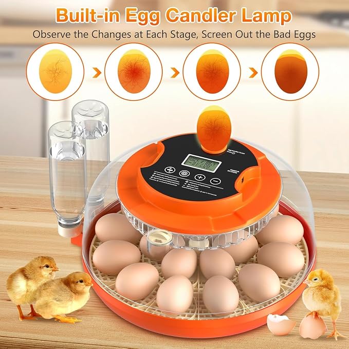 Incubadora de 18 Huevos para Empollar, Incubadora de Volteo Automático de Huevos y Control de Humedad para Empollar Pollo Pato Codorniz Paloma Faisán Perdiz Hogar Aula Laboratorio