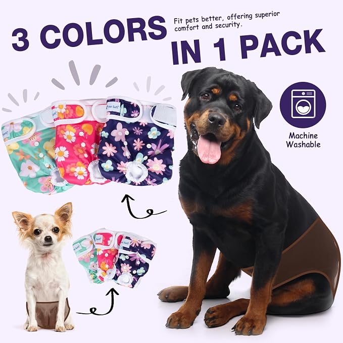 Pañales Reutilizables para Perras en Celo – 3 Pack Talla M Diseño Bloom | Comodidad y Protección