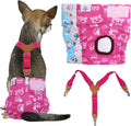 Pañales para Perritas CuteBone BDD05M Pack 3 – Reutilizables con Tirante para Perras Pequeñas, Medianas y Grandes en Celo