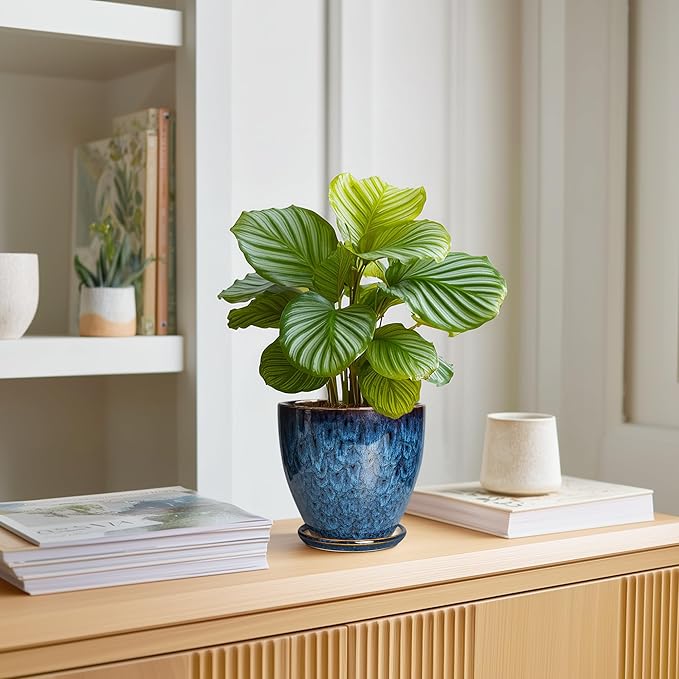 Maceta de 6 Pulgadas - Macetas Cerámicas para Plantas con Agujero de Drenaje y Platillo, Macetas Cerámicas para Plantas de Interior y Exterior, Maceta Decorativa Redonda