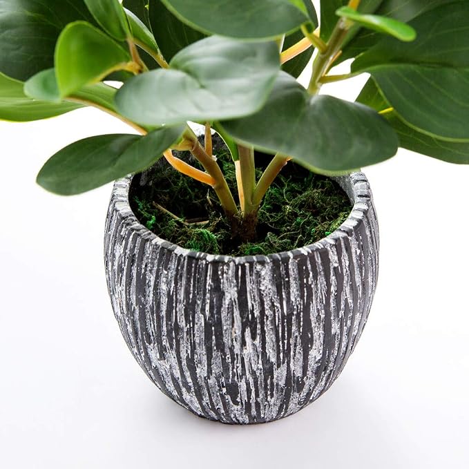 AlphaAcc Plantas Artificiales de Aspecto y Tacto Realista Planta Falsa de Higuera de Hoja de Violín de Plástico Perenne con Maceta de Cemento Negro Rústico para Decoración de Inauguración de Casa