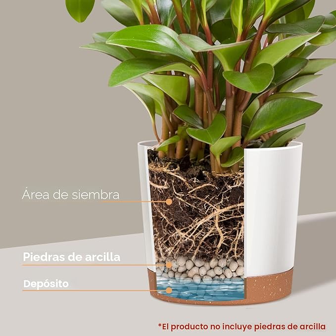 Paquete de 2 macetas de 8 pulgadas para plantas de interior, macetas de plástico para interiores con platillo de drenaje para jardín al aire libre, plantas de hogar, color blanco, 8 pulgadas