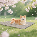 Alfombrilla refrescante para perros UIQELYS, alfombrilla transpirable para mascotas, almohadilla refrescante lavable para perros y gatos, alfombrilla decorativa neutra color gris topo para alivio del verano, para jaula (122 cm de largo x 71 cm de ancho)