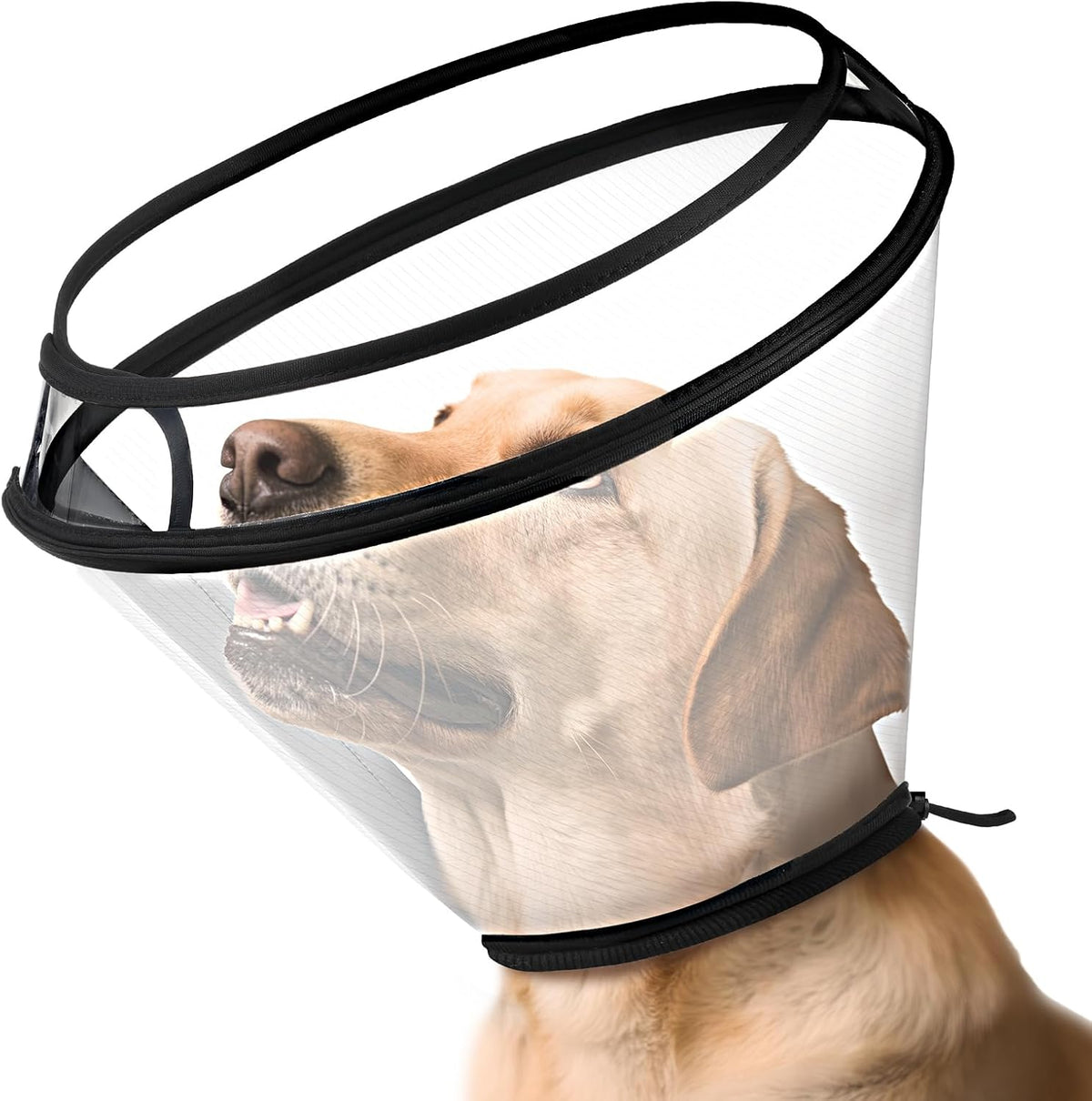 Collar Cono Perro BONTHEE Ajustable Transparente - Collar Recuperación Mascota Quirúrgica Elizabetano Protector Heridas Curación Perros Gatos Grandes Medianos Pequeños Talla L