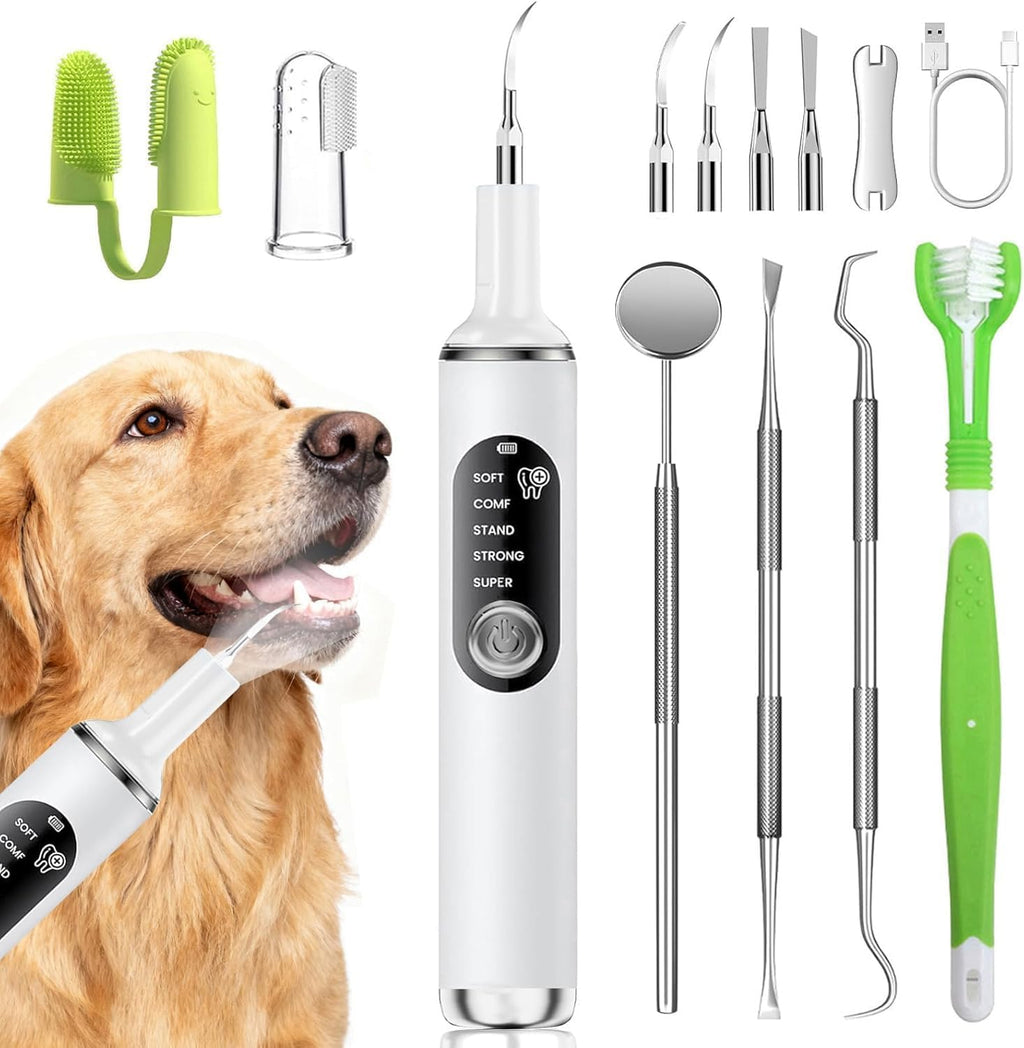 NOTA CONTIENE 10 ACCESORIOS Removedor de Placa PATWING para Dientes de Mascotas | Limpiador Dental con Luz LED | Kit para Sarro y Manchas | 5 Modos Ajustables | para Perros y Gatos | Blanco
