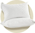 Protector de almohada CoolShields (paquete de 2) Queen: fundas de almohada impermeables con cremallera, hipoalergénicas, funda de almohada premium para un mejor descanso.