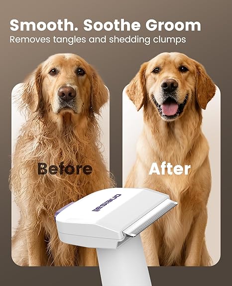 Kit Aspiradora de Aseo para Perros oneisall LM5 – 15000Pa, Cepillo Antipelo, 3 Niveles de Succión, Depósito 1.5L, Bajo Ruido