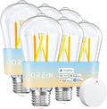 Bombilla inteligente OREiN Matter ST19(58) Edison con control remoto, compatible con Apple Home, Alexa, Google Home y SmartThings. Bombilla inteligente de filamento de 800 lm, 2700 K-6500 K, base E26, paquete de 6. 