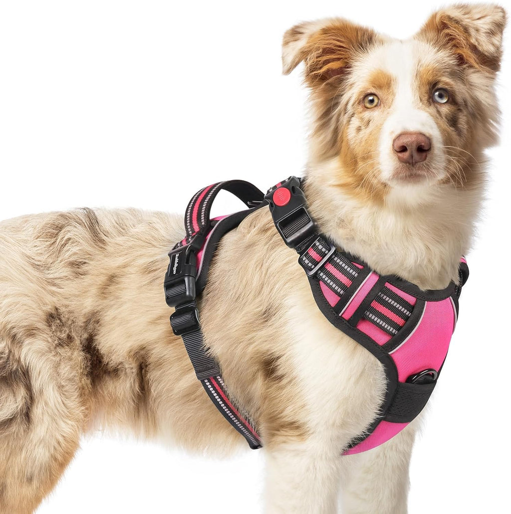 Arnés para perros rabbitgoo, talla mediana, arnés antitirones con 3 hebillas, chaleco acolchado suave ajustable con asa de control, chaleco reflectante para pasear perros medianos, rosa, talla M