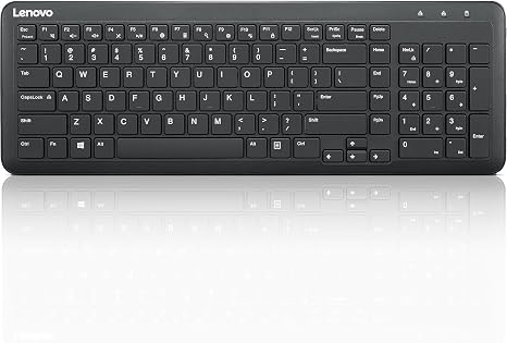 Lenovo Teclado inalámbrico 300, negro