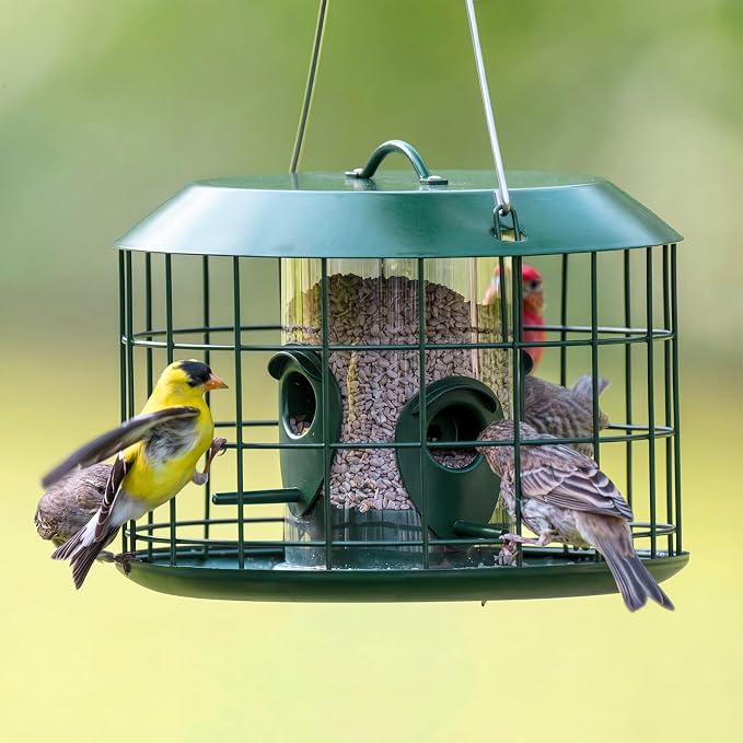 Comederos para pájaros Kingsyard Tube a prueba de ardillas para colgar en exteriores, con jaula metálica | Cubierta impermeable, para aves silvestres, pinzones y azulejos, 4 orificios de alimentación, color verde.