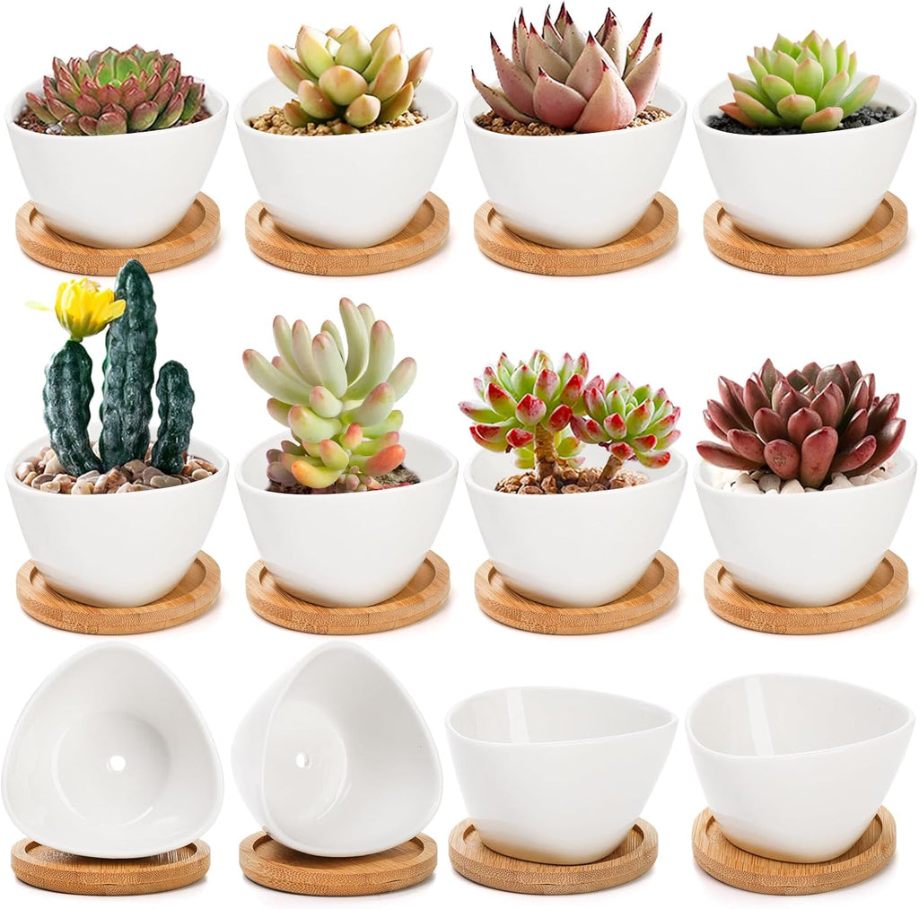 Mini Macetas Foraineam Pack 10 | Cerámica Blanca para Suculentas y Cactus | Bandeja de Bambú | Plantas Hierbas y Flores | 10 Unidades