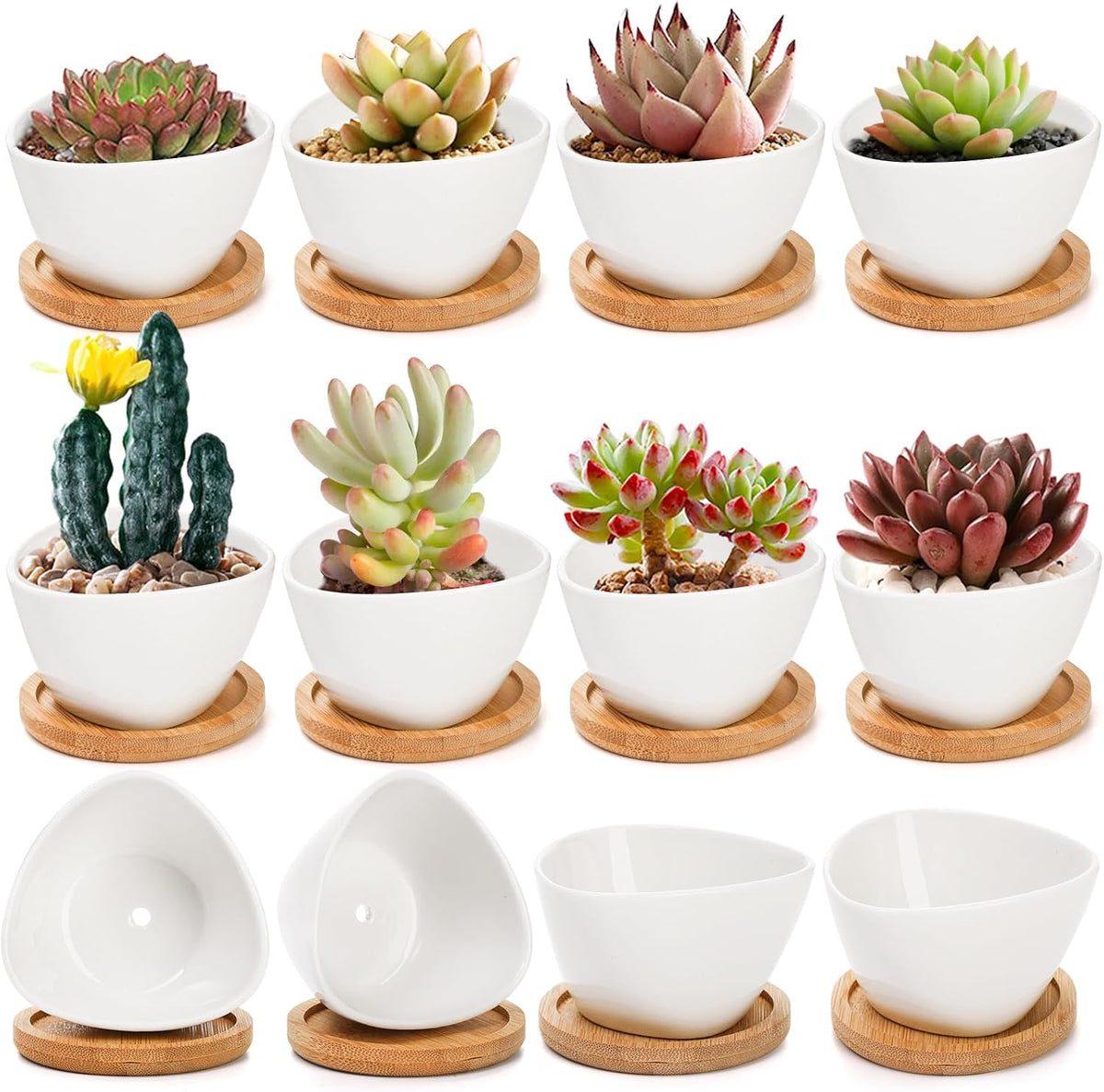 Mini Macetas Foraineam Pack 10 | Cerámica Blanca para Suculentas y Cactus | Bandeja de Bambú | Plantas Hierbas y Flores | 10 Unidades
