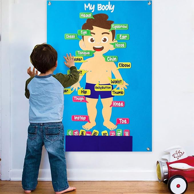 WATINC Body Parts - Juego de tablero de historia de fieltro, 35 piezas de franela de órgano humano, juguete interactivo de aprendizaje temprano para niños pequeños, aula, escuela en casa, 41 x 30