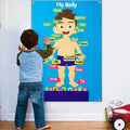 WATINC Body Parts - Juego de tablero de historia de fieltro, 35 piezas de franela de órgano humano, juguete interactivo de aprendizaje temprano para niños pequeños, aula, escuela en casa, 41 x 30