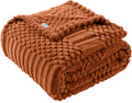 Manta de forro polar suave y esponjoso, bonita y estética, perfecta para sofá, silla, cama, sala de estar y dormitorio, uso durante todas las estaciones