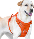 Sunraymascota No Pull Dog Harness, Reflective Puppy Vest for Small Medium Large Sized Dog(Orange,XL)