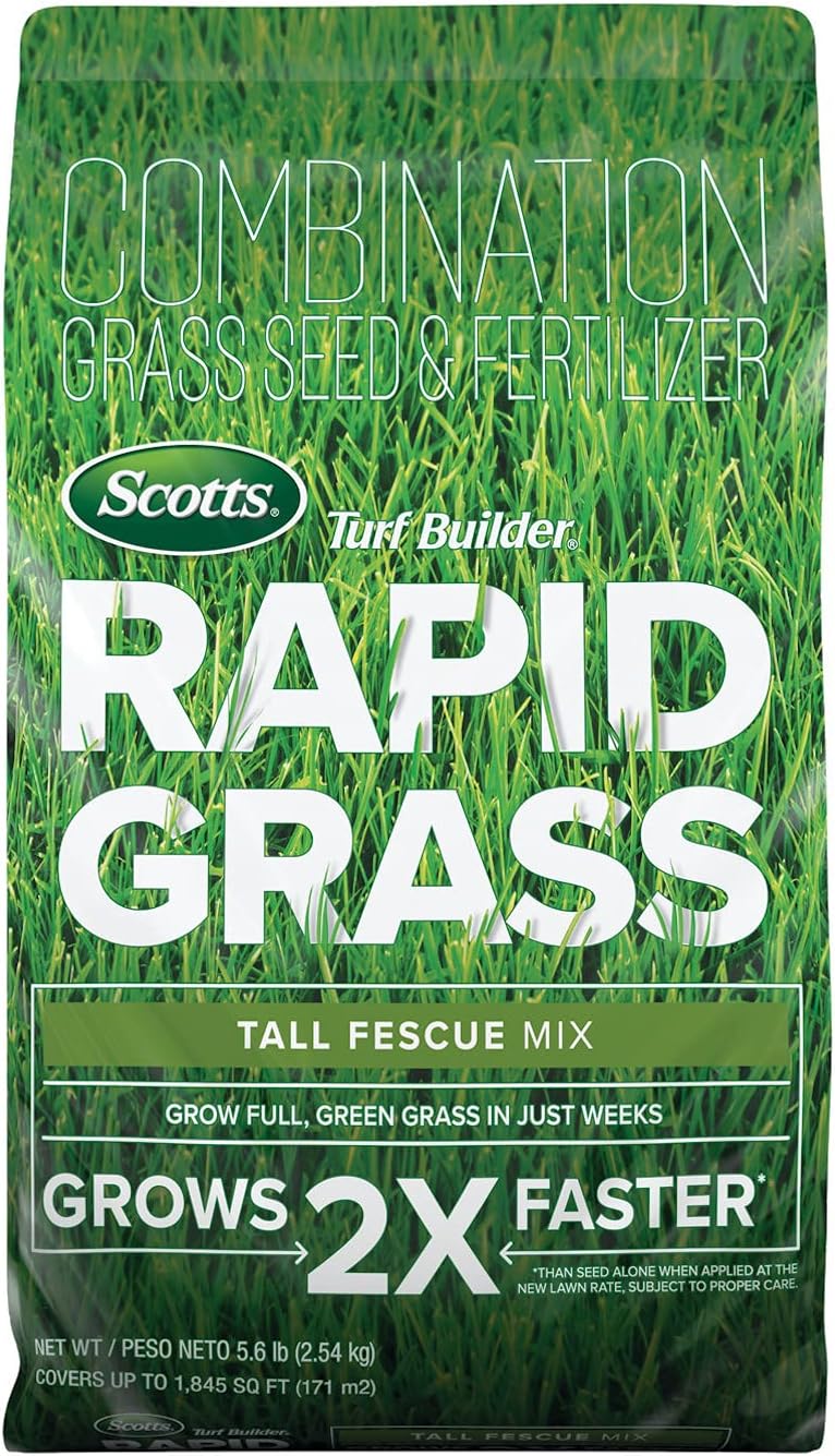 Scotts Turf Builder Rapid Grass Mezcla Fescue Alta | Semilla y Fertilizante Combinados para Cesped | Crece en Semanas | 2.5 kg