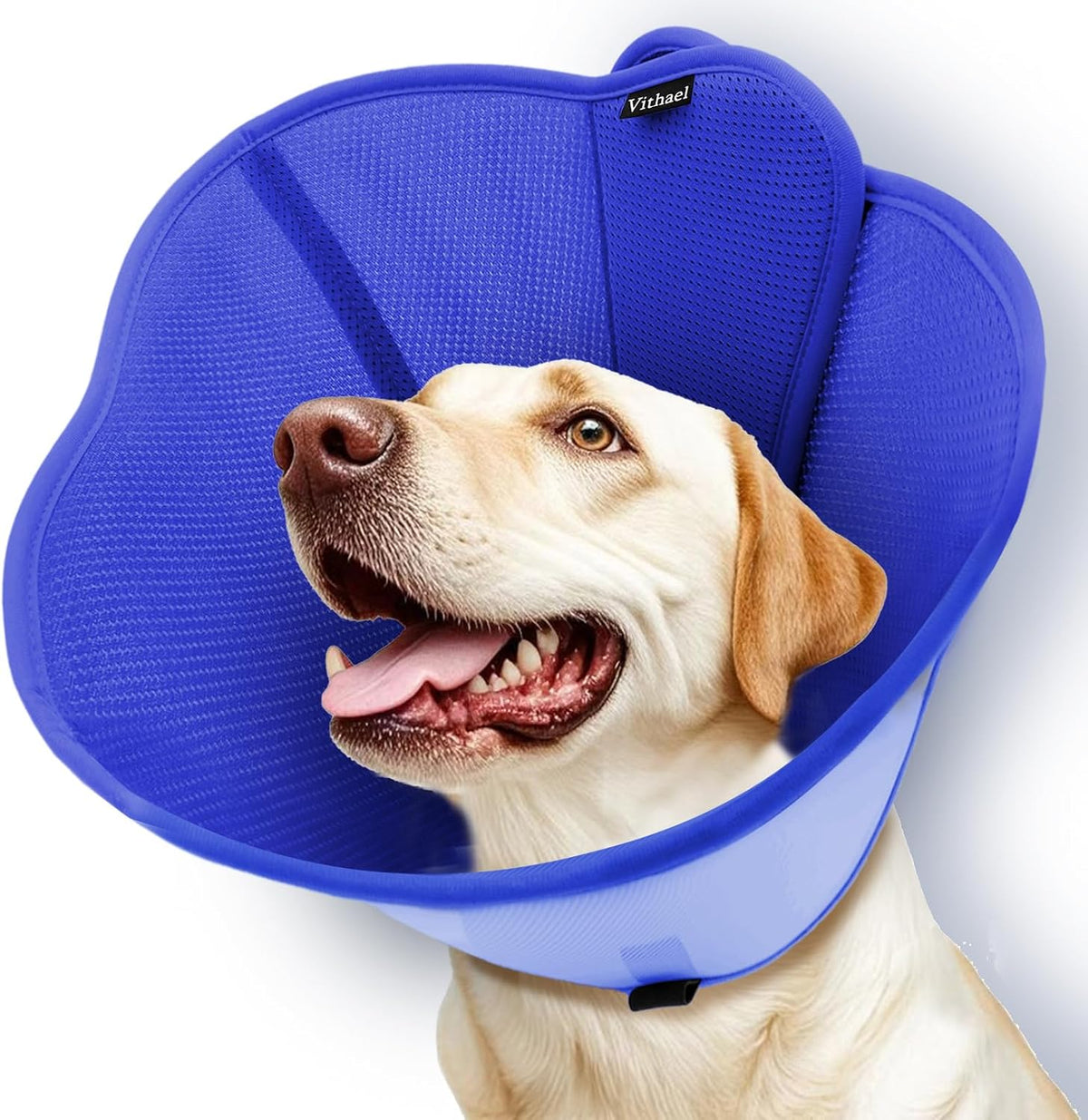 Vithael Collar Cono Mejorado para Perros Grandes y Medianos | Cono Suave de Doble Capa Ajustable | Collar de Recuperación Isabelino Post-Cirugía | Talla L, Azul
