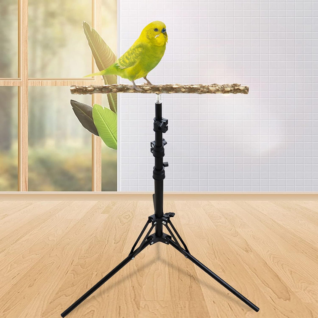 Oooct Soporte De Percha De Pájaro Ajustable En Altura De 16 A 63 Pulgadas, Juguete De Percha De Loro De Madera De Pimienta Natural, Soporte De Percha De Entrenamiento De Pájaros, Soportes De Pájaros