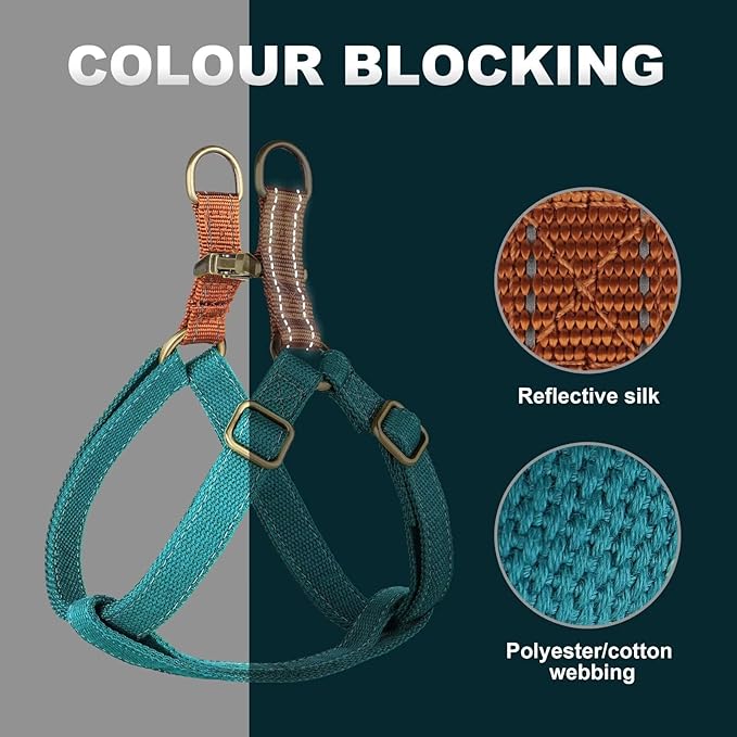 Didog - Arnés para perros con hebillas metálicas, chaleco de nylon para perros pequeños de fácil entrenamiento para caminar (S: pecho 33-56 cm, azul)