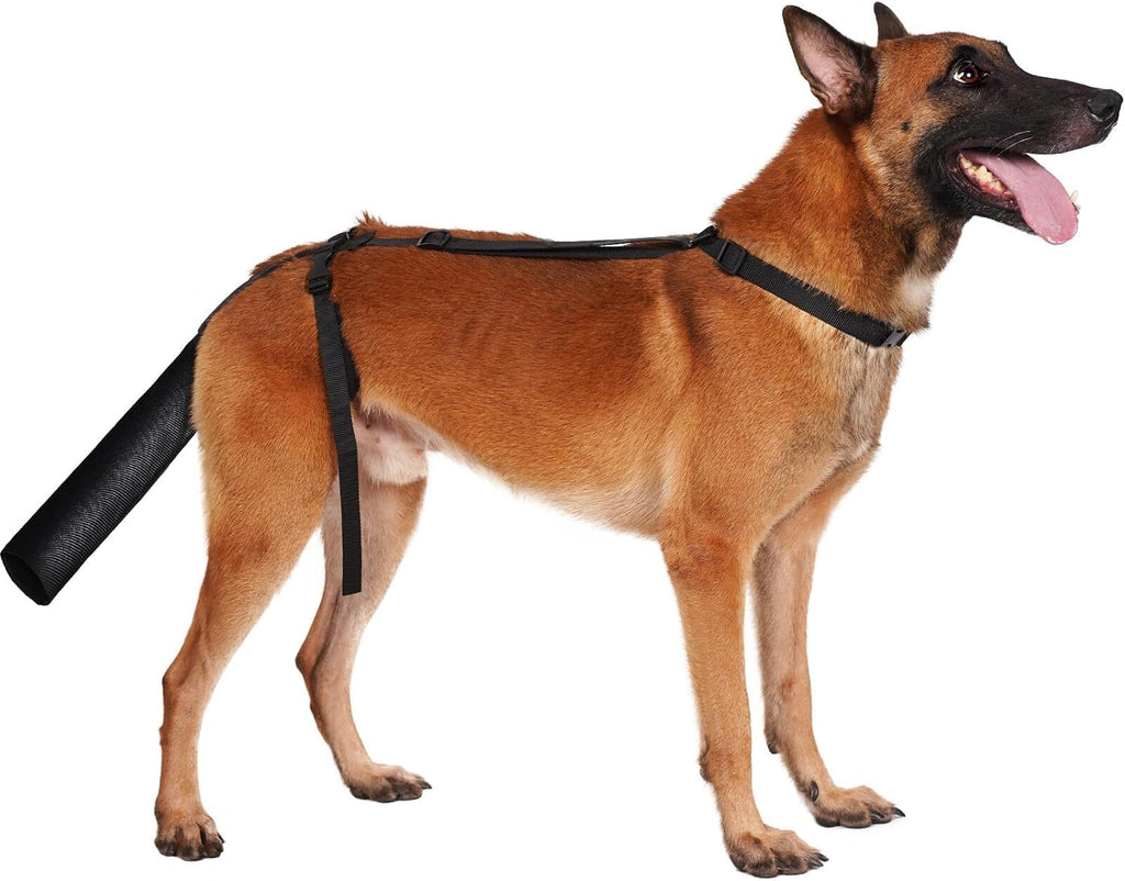 BARKLESS Protector de Cola para Perro | Guarda de Cola para Perros Medianos y Grandes | Cubierta Ajustable que Evita Lamer Heridas | Transpirable para Recuperación | Negro, Talla L