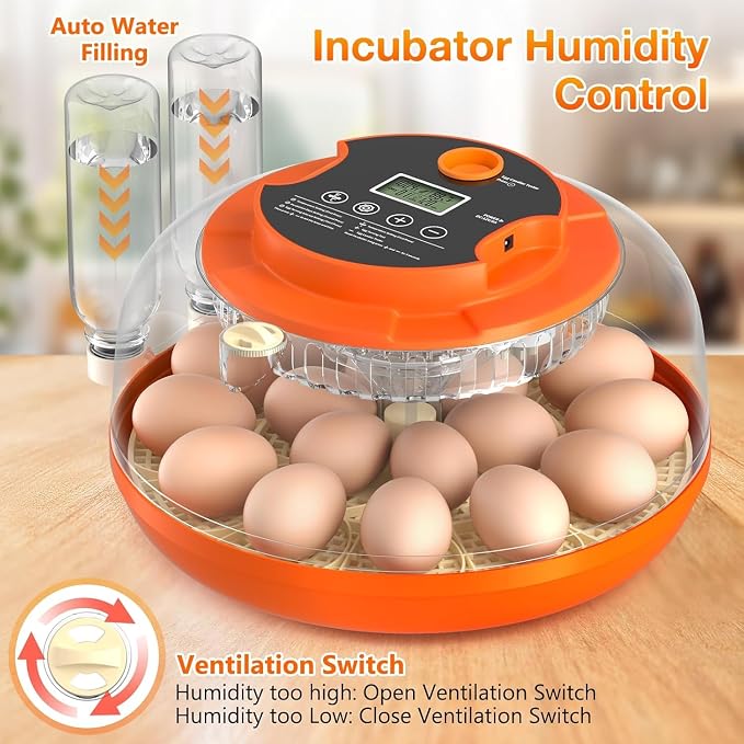 Incubadora de 18 Huevos para Empollar, Incubadora de Volteo Automático de Huevos y Control de Humedad para Empollar Pollo Pato Codorniz Paloma Faisán Perdiz Hogar Aula Laboratorio