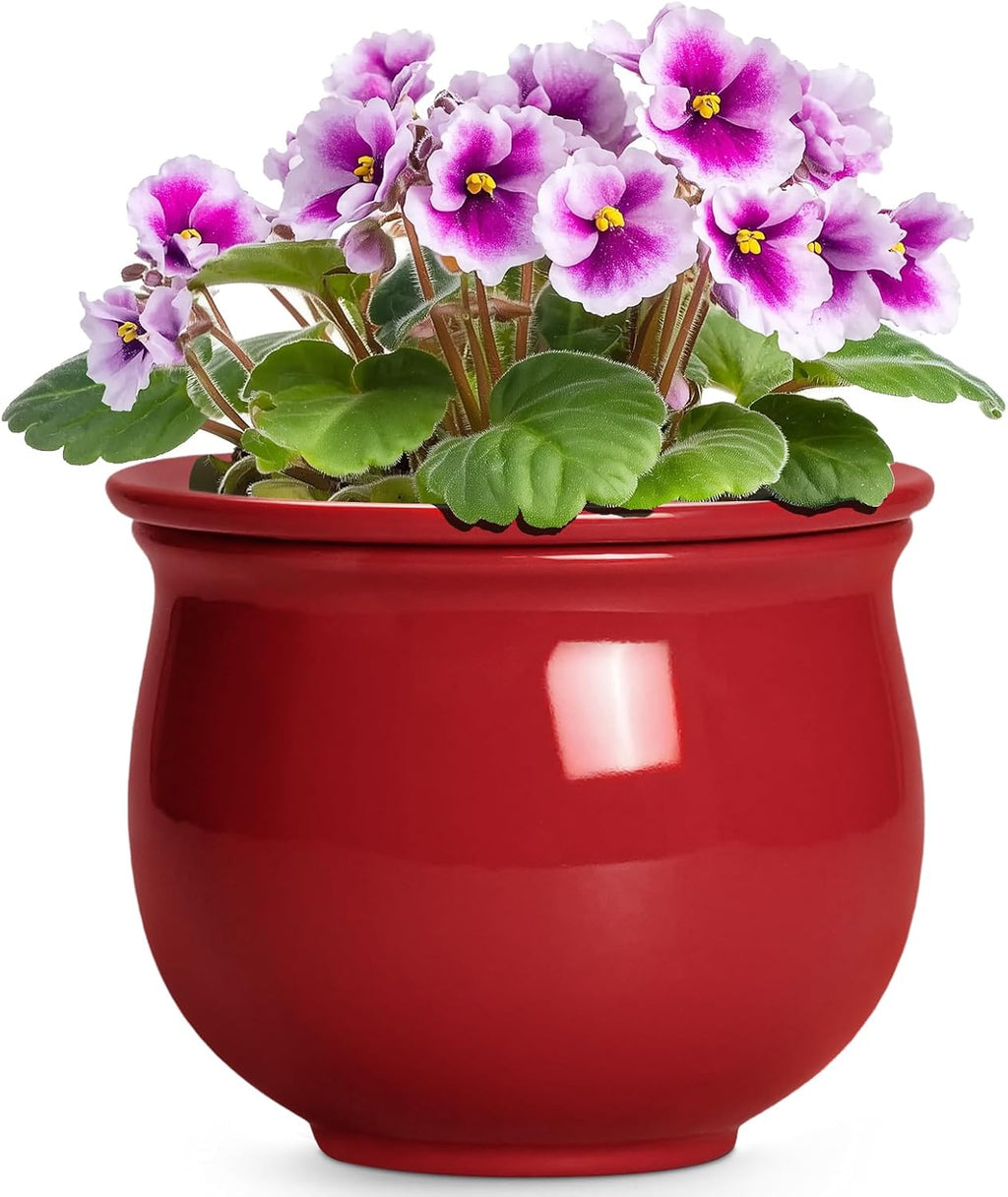 Teagas Maceta Ceramica de Autorriego | 6 Pulgadas | Para Violeta Africana | Con Maceta Interior Absorbente | Redonda | Decoracion de Interior y Porche | Regalo para Amantes de Plantas | Roja