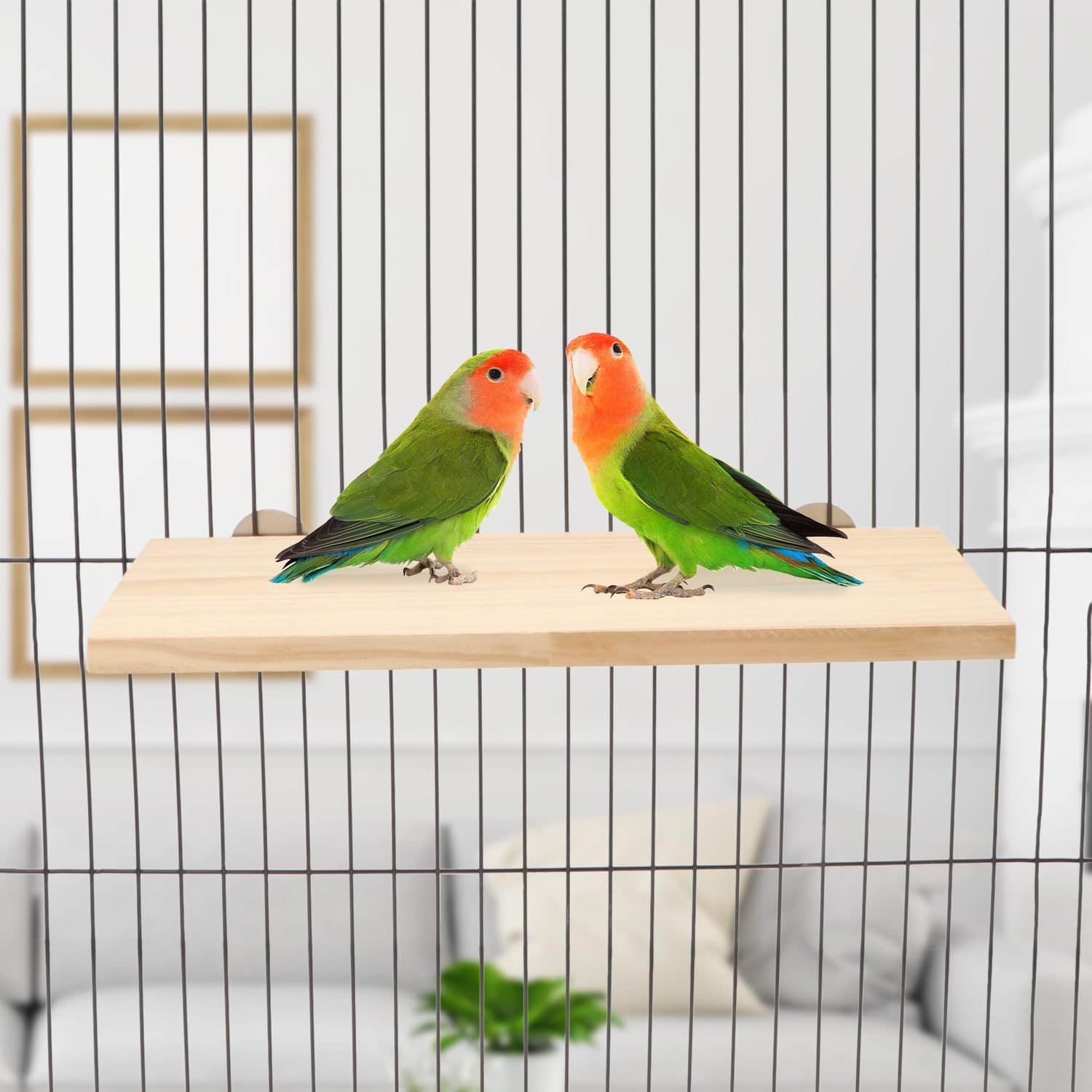 Plataforma de madera Wontee para perchas de pájaros, ideales para cacatúas, cotorras, ratas, jerbos, chinchillas y ardillas
