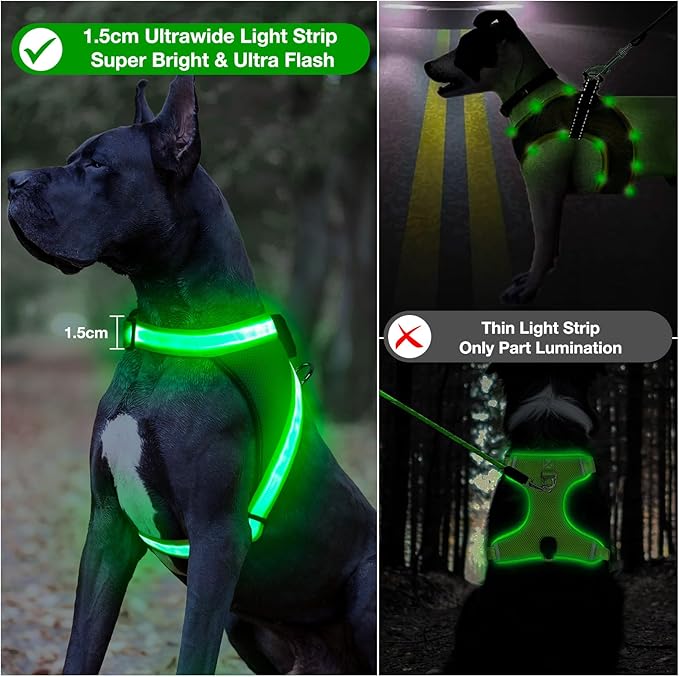 Arnés LED ChalkLit para Perro | Luz 360° Recargable USB | Tallas M y L
